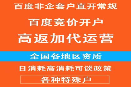 电商行业SEM运营的挑战与成功案例